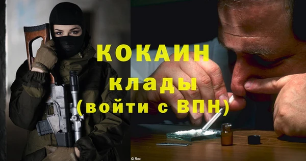 мет Бородино