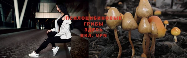 мет Бородино
