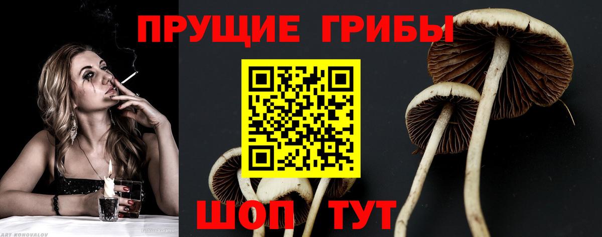 Нововоронеж  Псилоцибиновые грибы MAGIC MUSHROOMS  Вход с VPN 