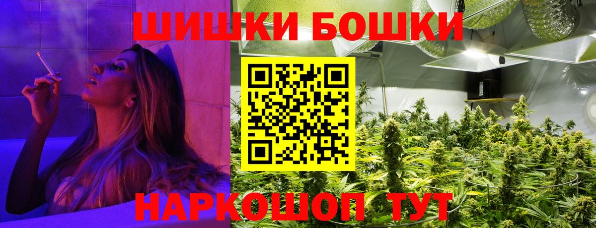 Каннабис планчик Нововоронеж
